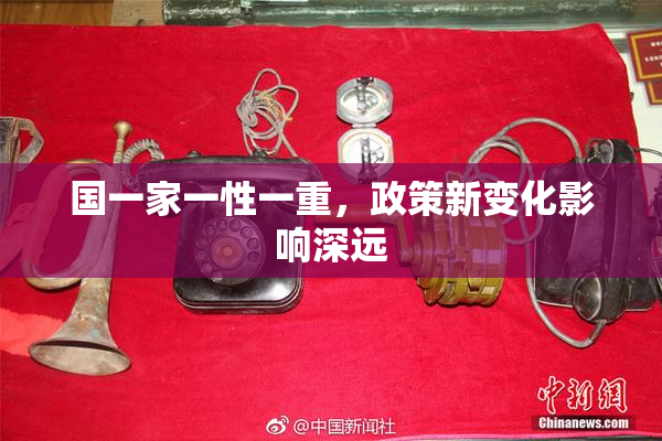 国一家一性一重，政策新变化影响深远