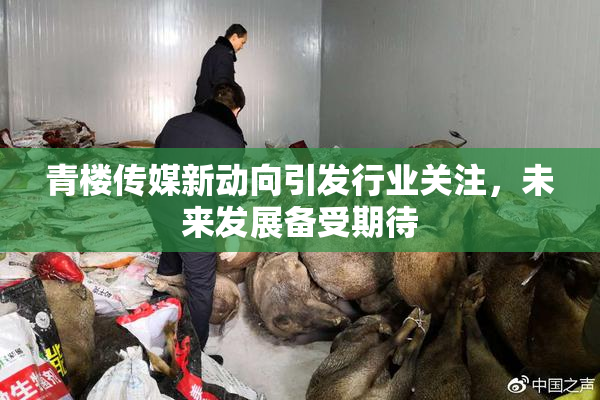 青楼传媒新动向引发行业关注，未来发展备受期待
