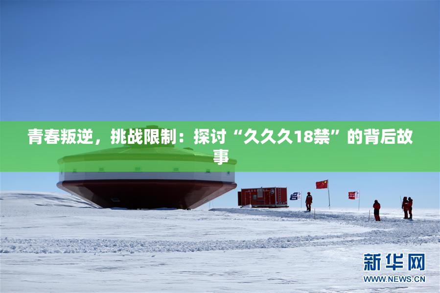 青春叛逆，挑战限制：探讨“久久久18禁”的背后故事