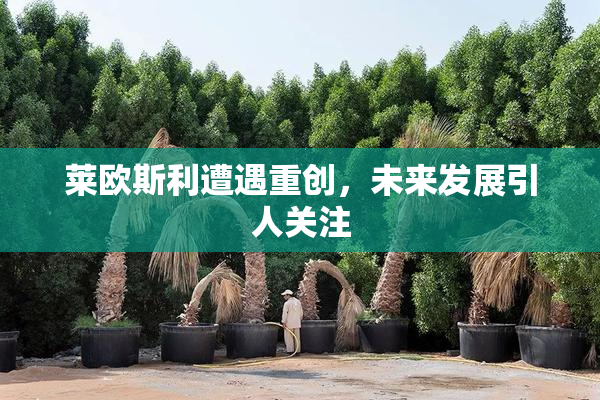 莱欧斯利遭遇重创，未来发展引人关注