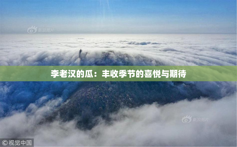 李老汉的瓜：丰收季节的喜悦与期待