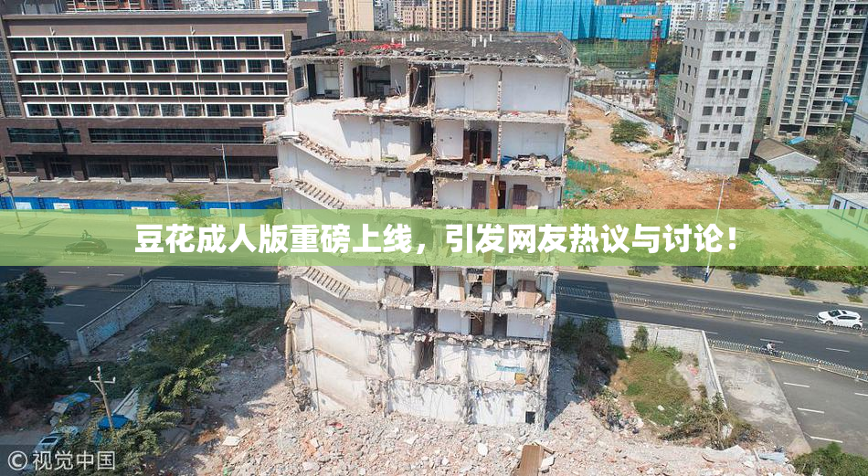 豆花成人版重磅上线，引发网友热议与讨论！