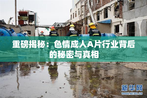 重磅揭秘：色情成人A片行业背后的秘密与真相
