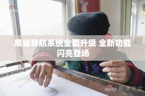 黑鲨导航系统全面升级 全新功能闪亮登场