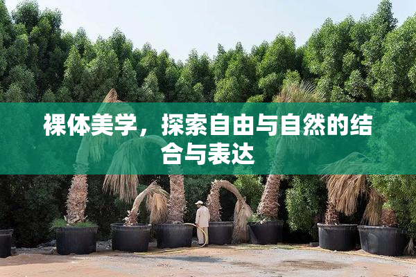 裸体美学，探索自由与自然的结合与表达
