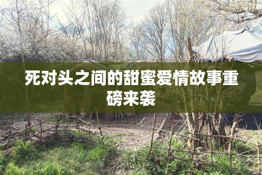 死对头之间的甜蜜爱情故事重磅来袭