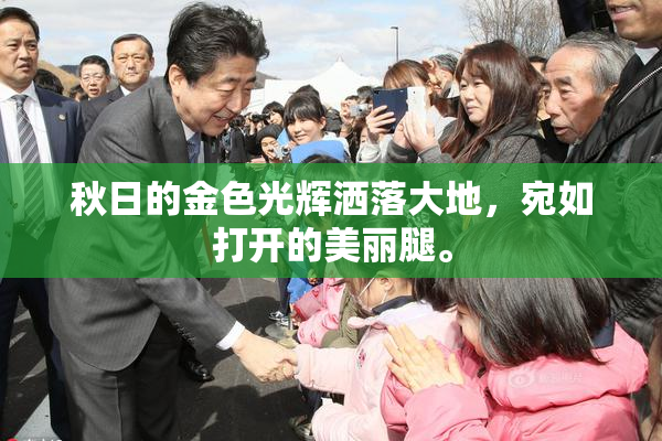 秋日的金色光辉洒落大地，宛如打开的美丽腿。