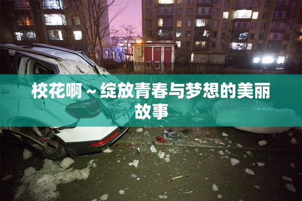 校花啊～绽放青春与梦想的美丽故事