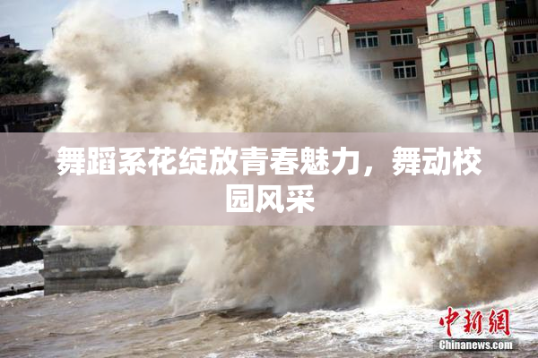 舞蹈系花绽放青春魅力，舞动校园风采