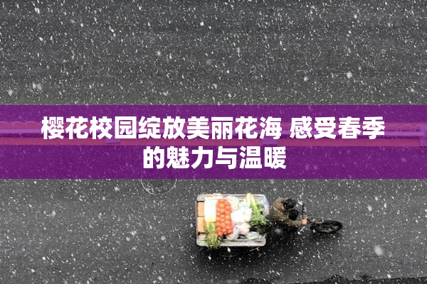 樱花校园绽放美丽花海 感受春季的魅力与温暖