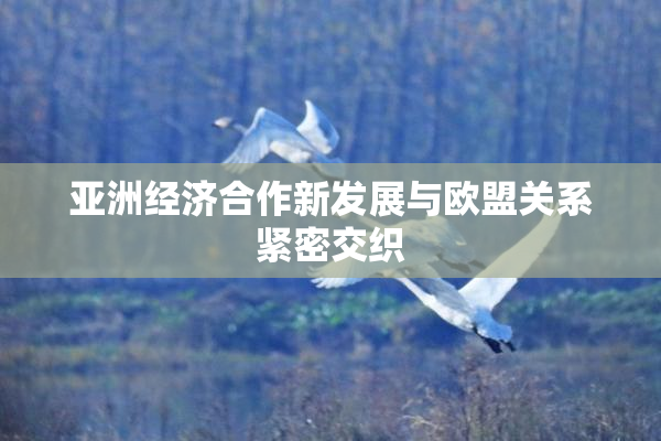 亚洲经济合作新发展与欧盟关系紧密交织