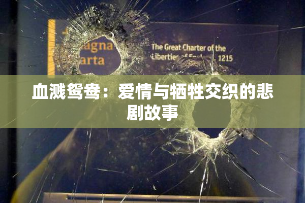 血溅鸳鸯：爱情与牺牲交织的悲剧故事