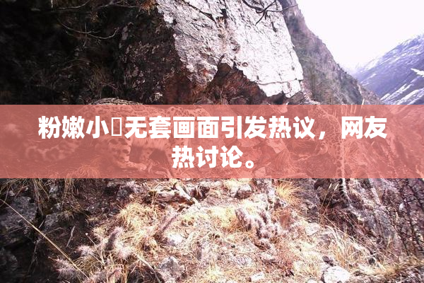 粉嫩小泬无套画面引发热议，网友热讨论。