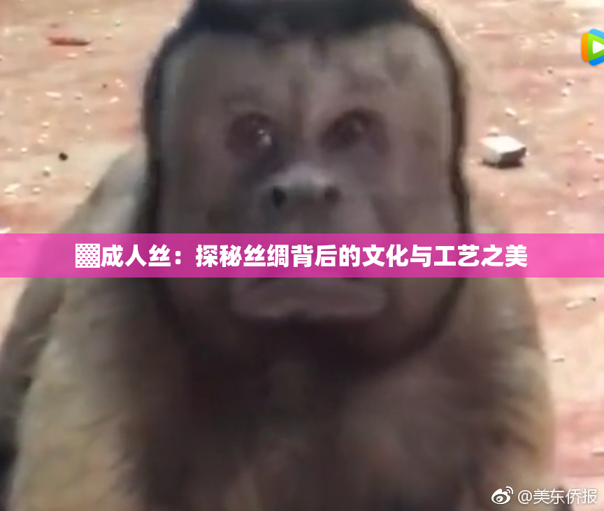 ▓成人丝：探秘丝绸背后的文化与工艺之美