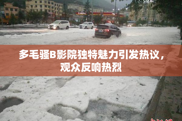 多毛骚B影院独特魅力引发热议，观众反响热烈