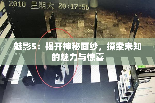 魅影5：揭开神秘面纱，探索未知的魅力与惊喜