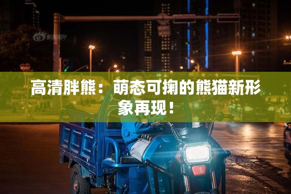 高清胖熊：萌态可掬的熊猫新形象再现！