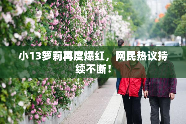 小13箩莉再度爆红，网民热议持续不断！