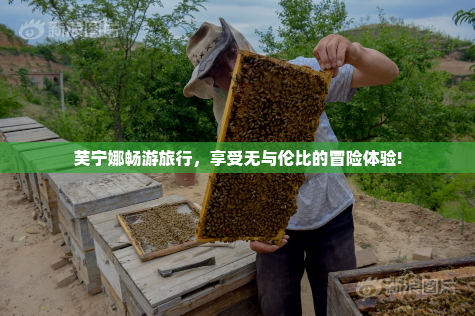 芙宁娜畅游旅行，享受无与伦比的冒险体验!