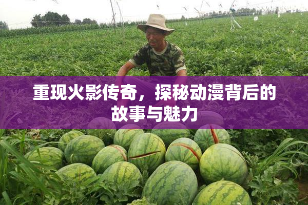 重现火影传奇，探秘动漫背后的故事与魅力
