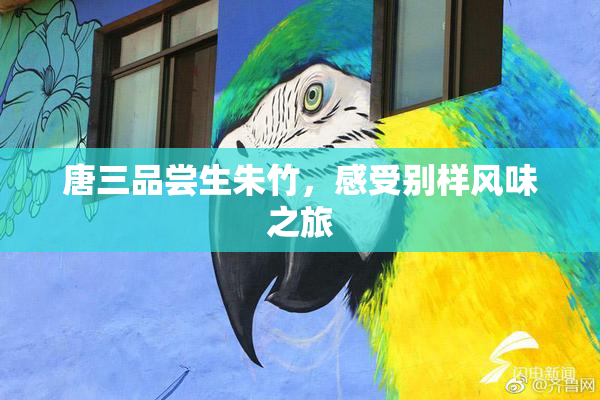唐三品尝生朱竹，感受别样风味之旅