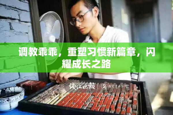 调教乖乖，重塑习惯新篇章，闪耀成长之路