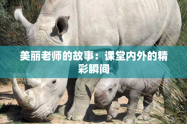 美丽老师的故事：课堂内外的精彩瞬间