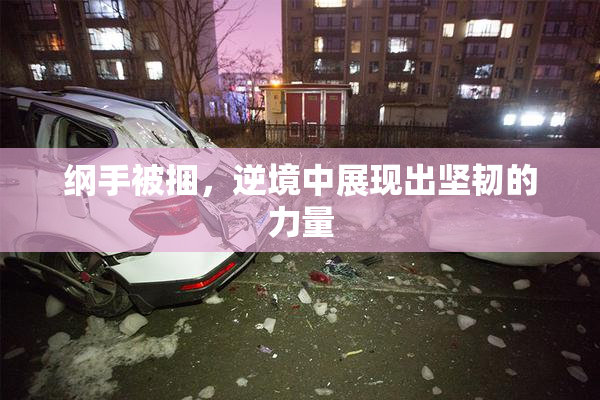 纲手被捆，逆境中展现出坚韧的力量
