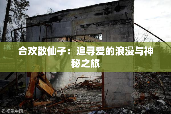 合欢散仙子：追寻爱的浪漫与神秘之旅