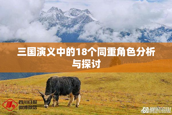 三国演义中的18个同重角色分析与探讨