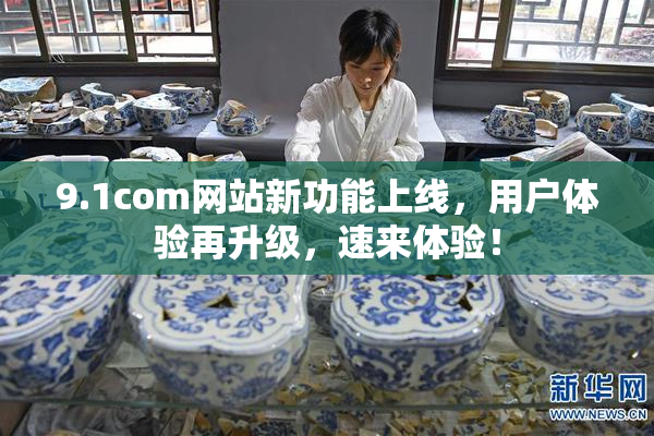 9.1com网站新功能上线，用户体验再升级，速来体验！