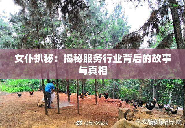 女仆扒秘：揭秘服务行业背后的故事与真相