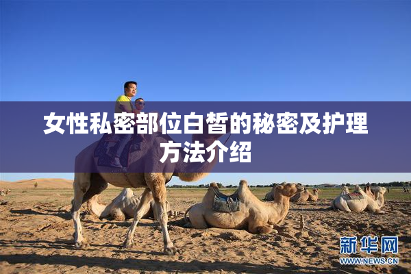 女性私密部位白皙的秘密及护理方法介绍