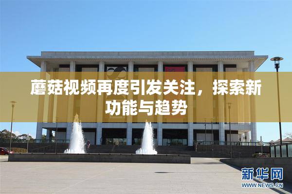 蘑菇视频再度引发关注，探索新功能与趋势