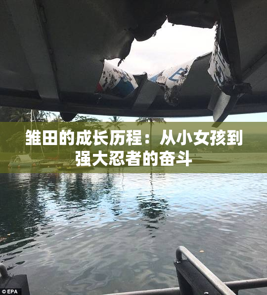 雏田的成长历程：从小女孩到强大忍者的奋斗