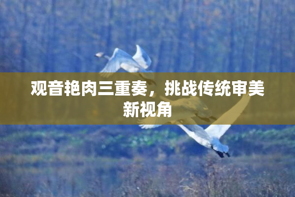 观音艳肉三重奏，挑战传统审美新视角