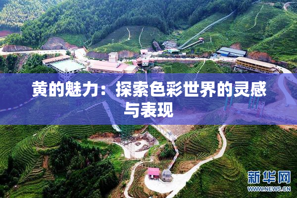 黄的魅力：探索色彩世界的灵感与表现