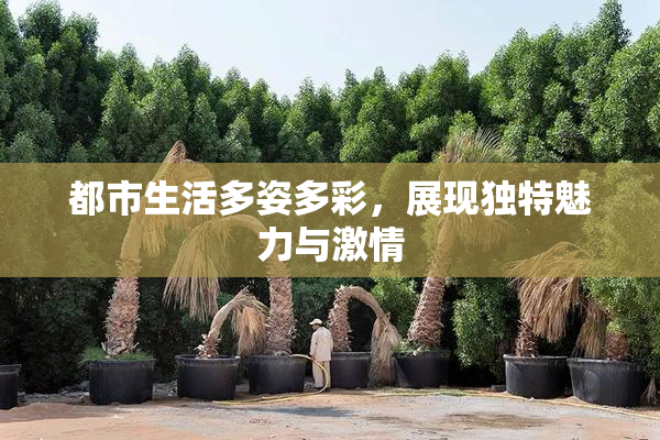 都市生活多姿多彩，展现独特魅力与激情