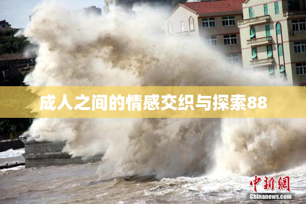 成人之间的情感交织与探索88