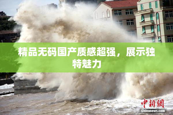 精品无码国产质感超强，展示独特魅力
