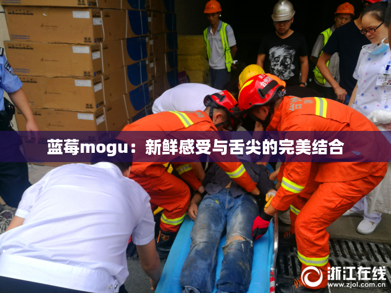 蓝莓mogu：新鲜感受与舌尖的完美结合