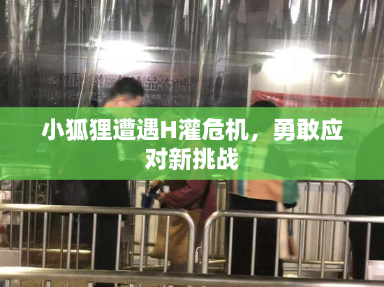 小狐狸遭遇H灌危机，勇敢应对新挑战