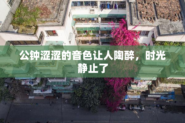 公钟涩涩的音色让人陶醉，时光静止了