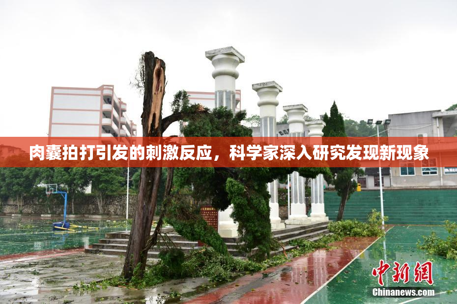 肉囊拍打引发的刺激反应，科学家深入研究发现新现象