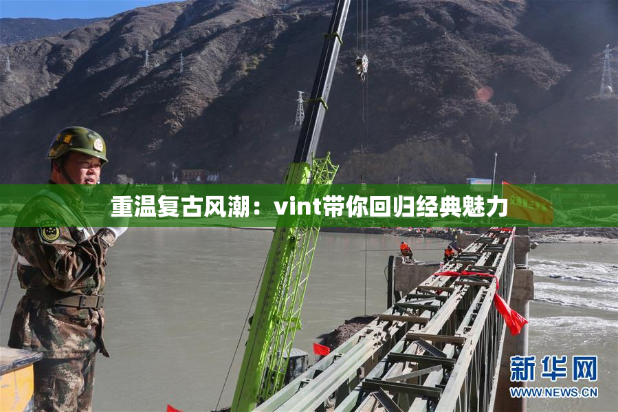 重温复古风潮：vint带你回归经典魅力