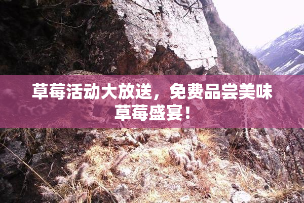 草莓活动大放送，免费品尝美味草莓盛宴！