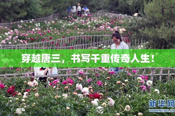 穿越唐三，书写千重传奇人生！