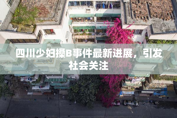 四川少妇搡B事件最新进展，引发社会关注