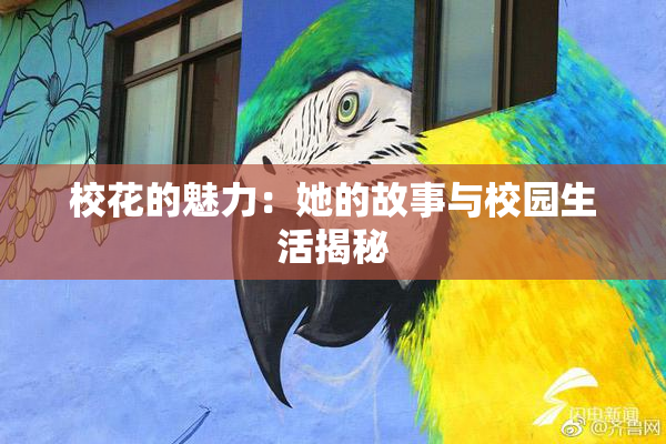 校花的魅力：她的故事与校园生活揭秘
