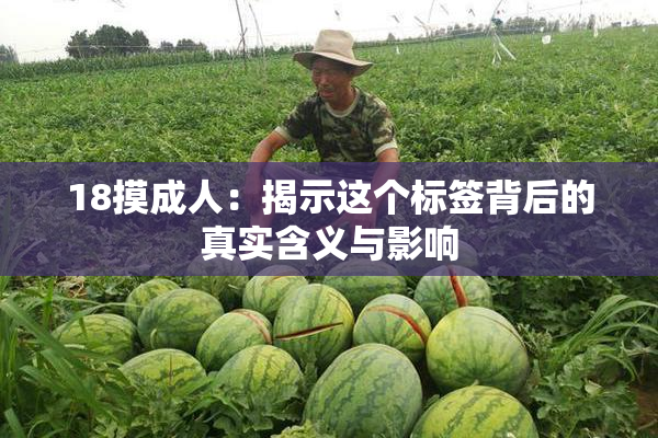 18摸成人：揭示这个标签背后的真实含义与影响